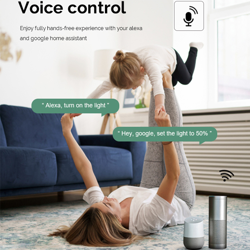 DIY  Wifi Smart Dimmer Switch  - Tuya Wifi Socket 评论和价格
