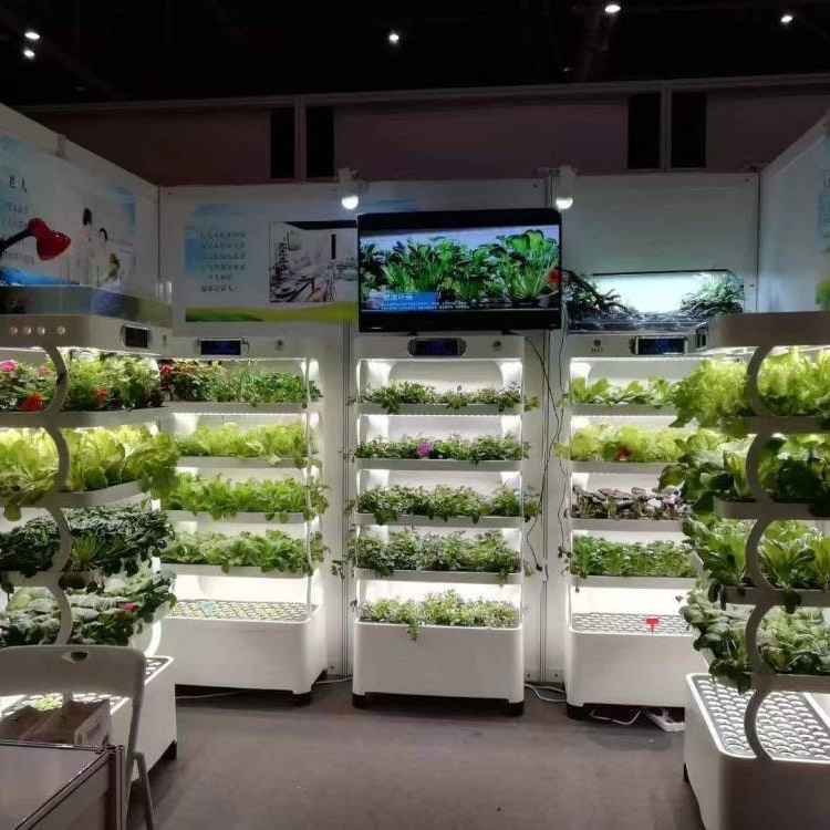 Intelligent Hydroponic Growing - Smart Home Uses 评论和价格
