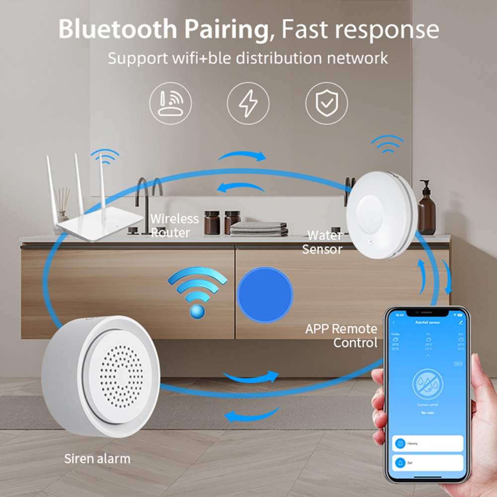 BTLIFE-Flood Detector With Sir - Smart Home Kit 评论和价格