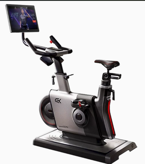 Steel for Bike LCD Display Mag - Smart Home Uses 评论和价格
