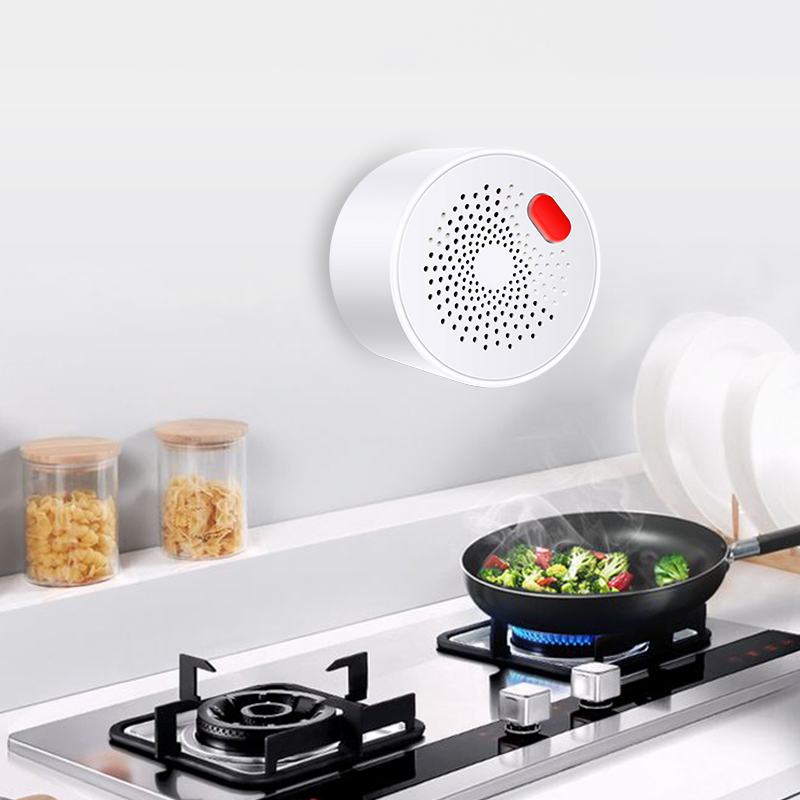 Tuya Smart Home Wifi Natural G - Smart Home Network 评论和价格