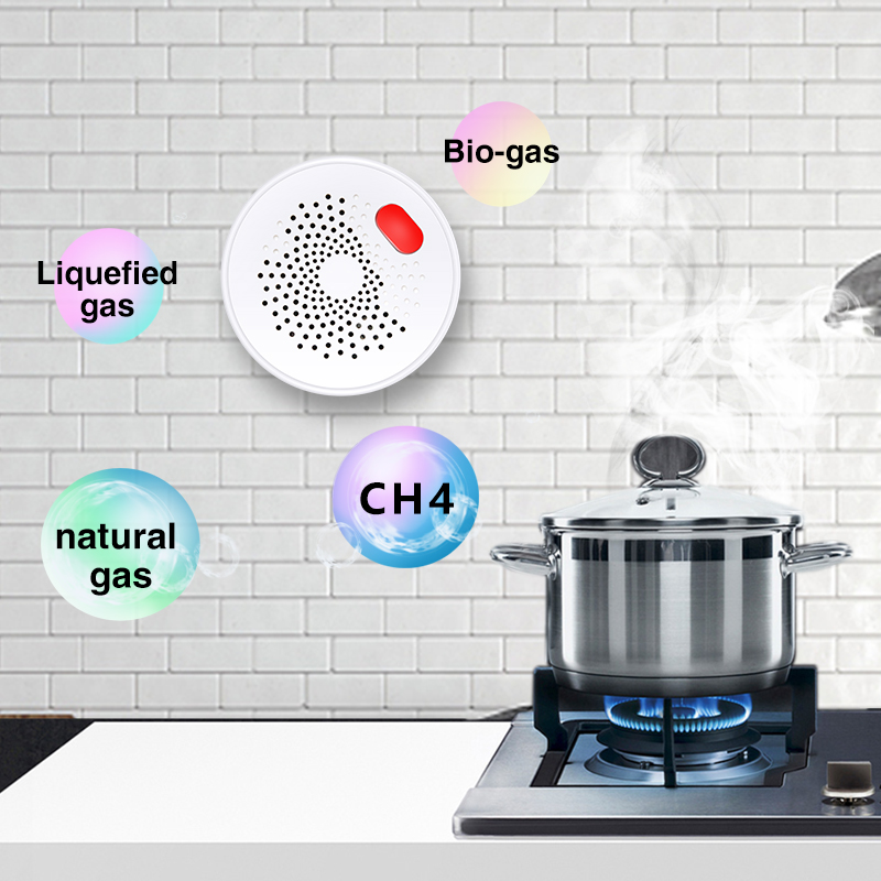 Tuya Smart Home Wifi Natural G - Smart Home Network 评论和价格